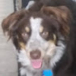 Meet your Posher, Tim